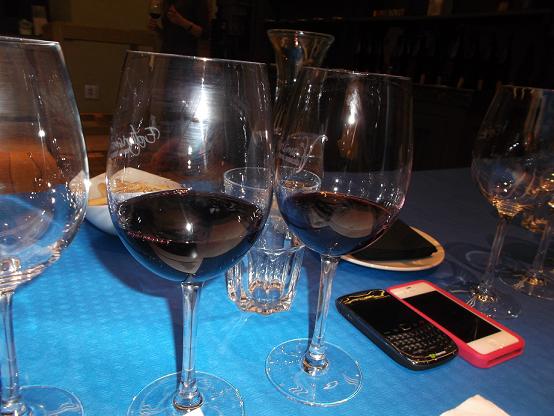 Cata vertical del 'Bembibre' de Dominio de Tares (D.O. Bierzo) 8