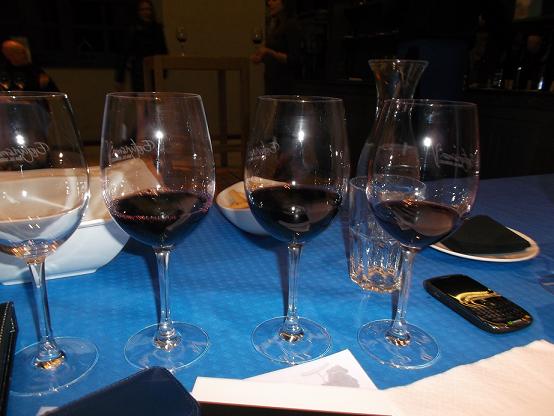 Cata vertical del 'Bembibre' de Dominio de Tares (D.O. Bierzo) 9