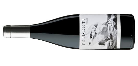 Tridente Mencía 2010 2