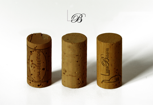 Bodegas y Viñedos Luna Beberide 2