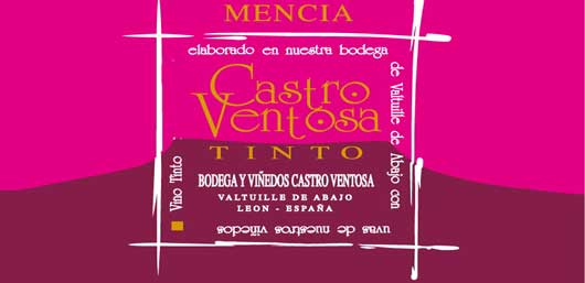Bodegas y Viñedos Castroventosa 2