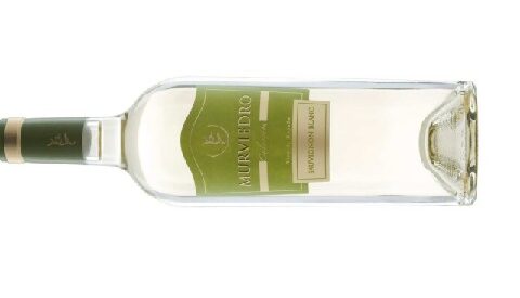 Murviedro Colección Sauvignon Blanc 2