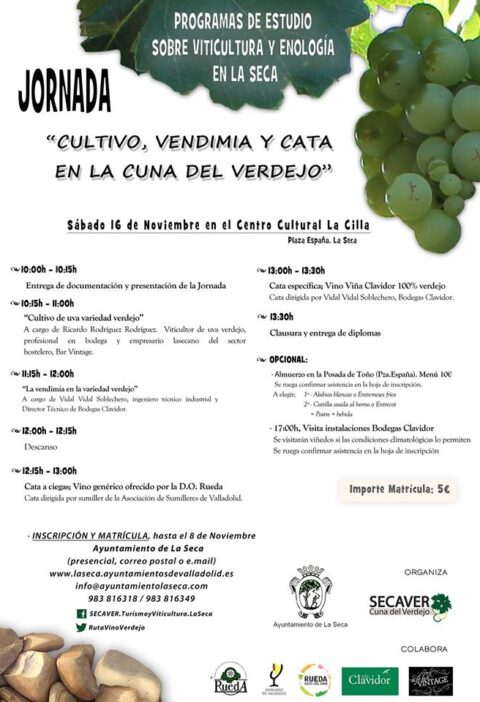 Jornada 'Cultivo, vendimia y Cata en la Cuna del Verdejo' en La Seca 1