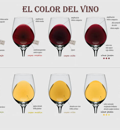 ¿Qué nos dice el color de un vino? 1