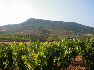 Candidatura española del 'Paisaje del vino y el viñedo de Rioja' a Patrimonio de la Humanidad 2