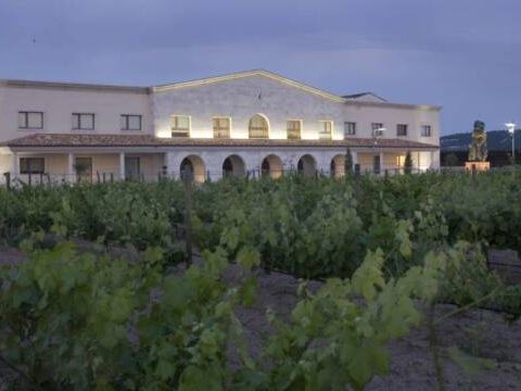 Grupo Matarromera recibe el Premio al Enoturismo 'Rutas del Vino de España' de ACEVIN 2