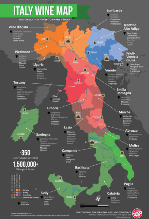 El mapa del vino en Italia 1