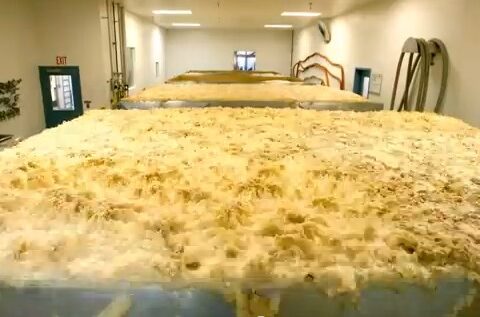 Vídeo time-lapse de la fermentacion de la cerveza