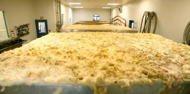 Vídeo time-lapse de la fermentacion de la cerveza