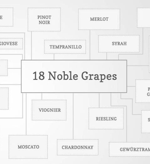 Las 18 uvas consideradas como nobles en el mundo 1