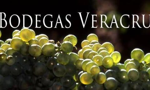 Bodegas Veracruz aumenta su oferta de vinos 3