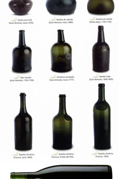 Evolución de las botellas de vino en los últimos 400 años 1