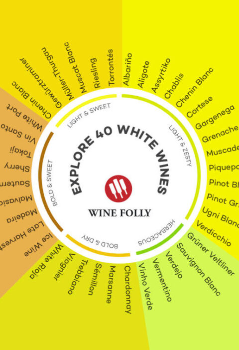 Colores que tienen y sensaciones que nos dan los vinos blancos de todo el mundo #infografia 1