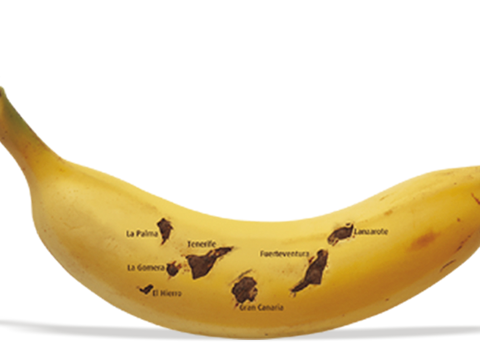 La IGP Plátano de Canarias remodela su web 1