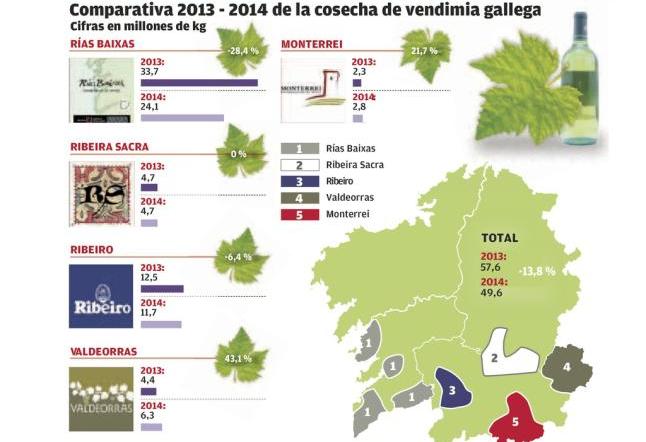 Cifras de cierre de la vendimia en las Denominaciones de Origen gallegas