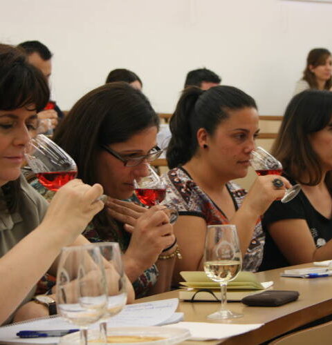 El Consejo Regulador de la D.O. La Mancha organiza las I Jornadas de difusión de la cultura del vino en la Universidad Complutense de Madrid 1