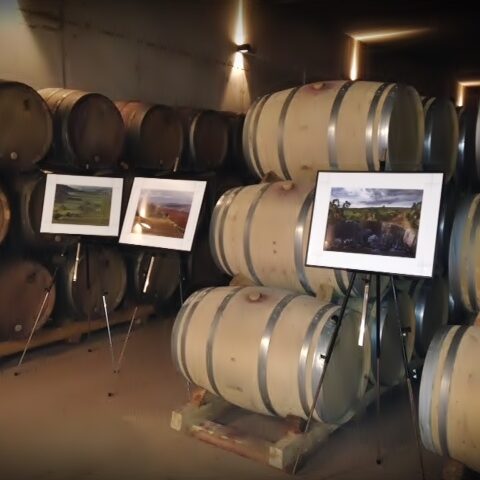 Exposición fotográfica 'Paisaje Cultural del vino y viñedo en Rioja Alta' en Bodegas Martínez Lacuesta 1