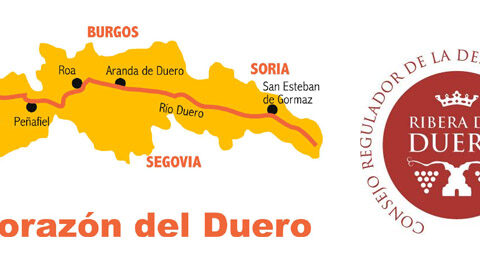Ribera del Duero consigue la mayor vendimia de la historia 1