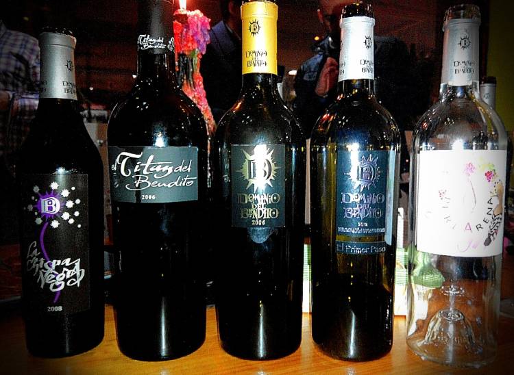 Cata de Bodega Dominio del Bendito en el Sexto Sentido: excelente incursión a los vinos de Toro