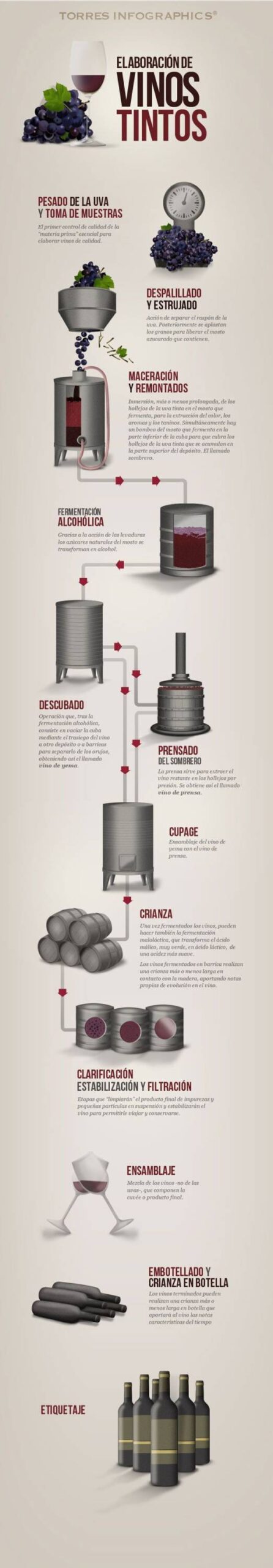 Fases en la elaboración de los vinos tintos #infografia