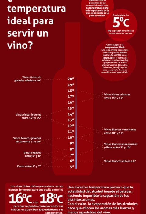 Temperatura adecuada para servir cualquier vino, ¿sabe cuál es la idónea? 1