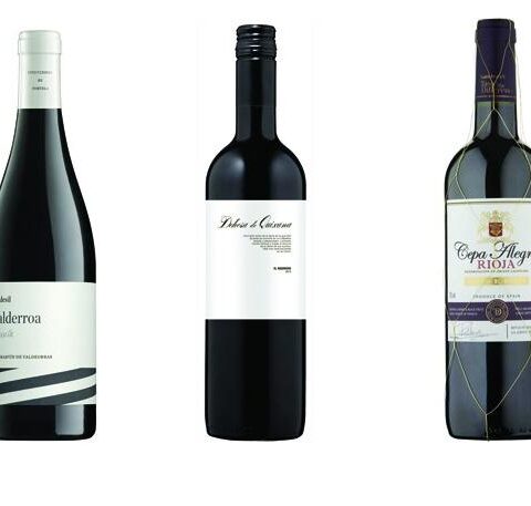 3 vinos españoles recomendados entre los 25 del mundo para comprar por menos de 20 libras por Decanter 1