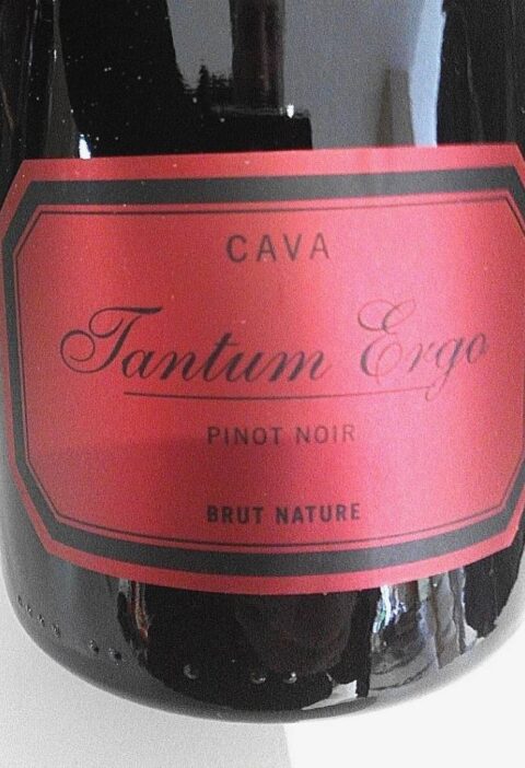 Cava Tantum Ergo Pinot Noir 2012 1