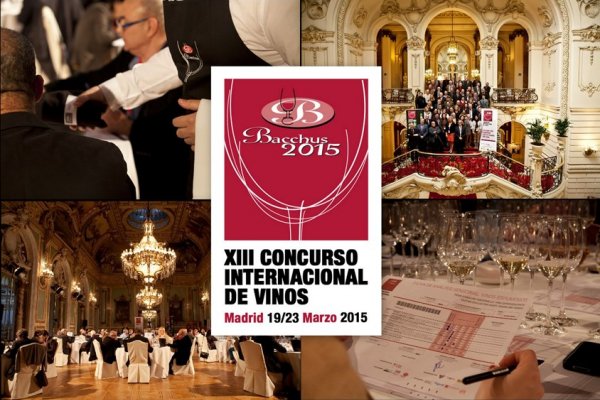 ¿Cuáles son los 3 mejores vinos de la Guía OCU 2015?
