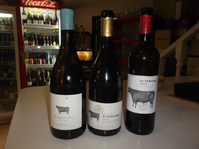 Cata de vinos de bodega Hacienda El Ternero 11