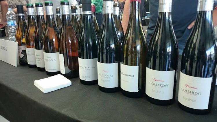 Cata de Bodega Forjas del Salnés 1