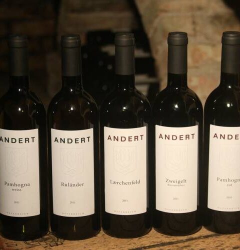 Cata de vinos de Andert-Wein 1