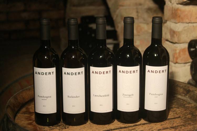 Cata de vinos de Andert-Wein