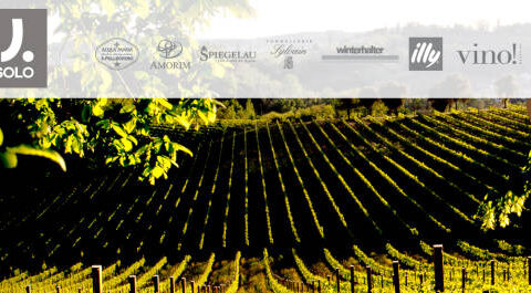 17 medallas para los vinos de la D.O. Rías Baixas en el Concours Mondial de Bruxelles 2015 1