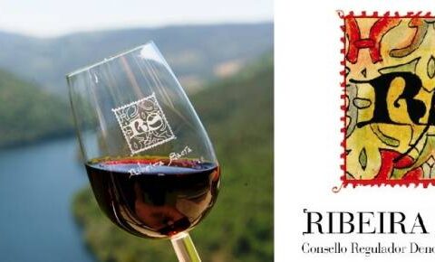 65 vinos de 34 bodegas, optarán a ser los mejores vinos de Ribeira Sacra este año 1