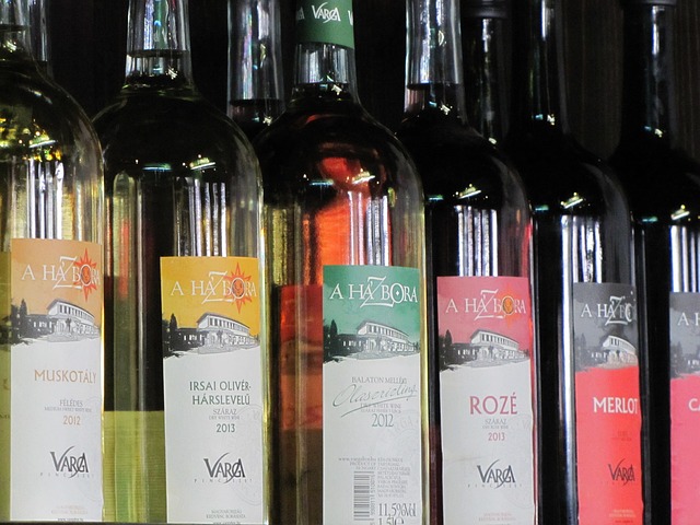 Cata de vinos de Varga Pinceszet