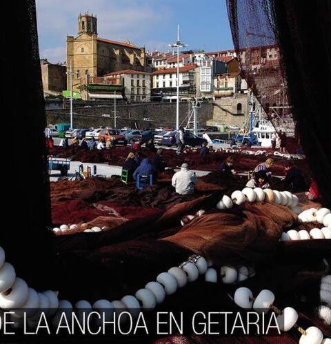 Feria de la anchoa en Getaria 1