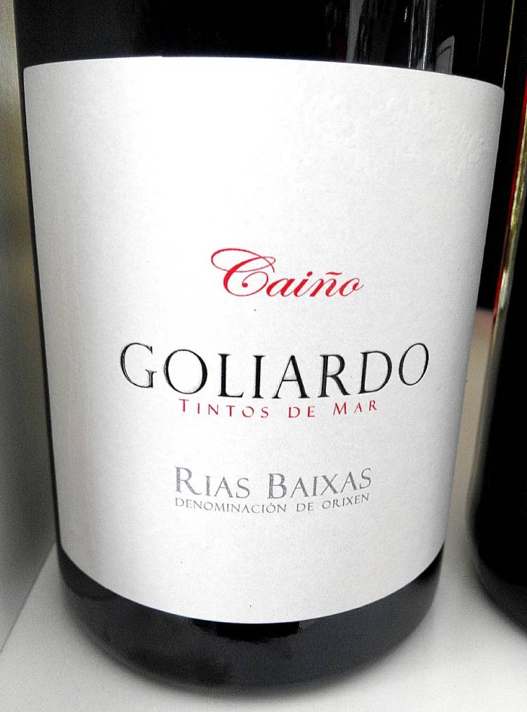 Goliardo Caíño 2011 1