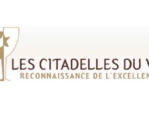 26 Medallas, 11 oros y 15 platas, para los vinos españoles en el certamen Les Citadelles Du Vin 2015 2