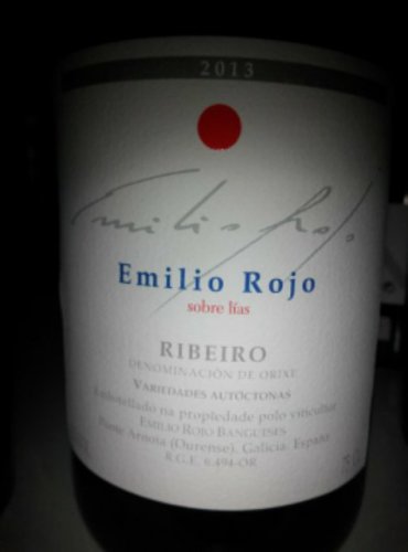 Emilio Rojo 2013 1