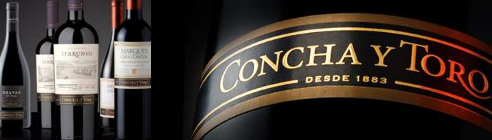 Viña Concha y Toro abre el primer centro de investigación del vino en Latinoamérica 1