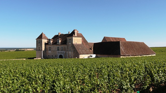 La producción del vino francés cae un 10%