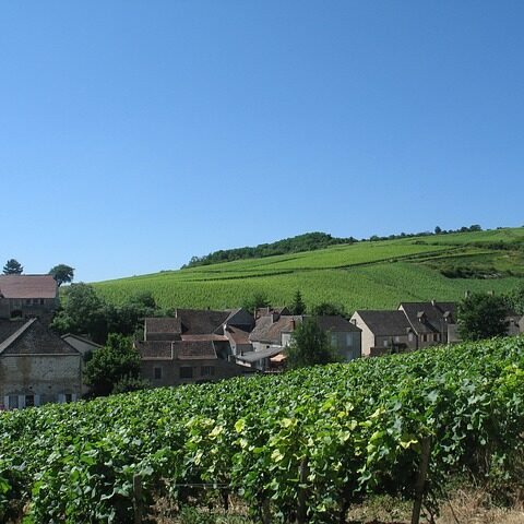 Champaña y Borgoña reconocidas como Patrimonio de la Humanidad por la UNESCO 1