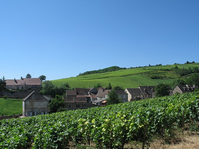 Champaña y Borgoña reconocidas como Patrimonio de la Humanidad por la UNESCO 1