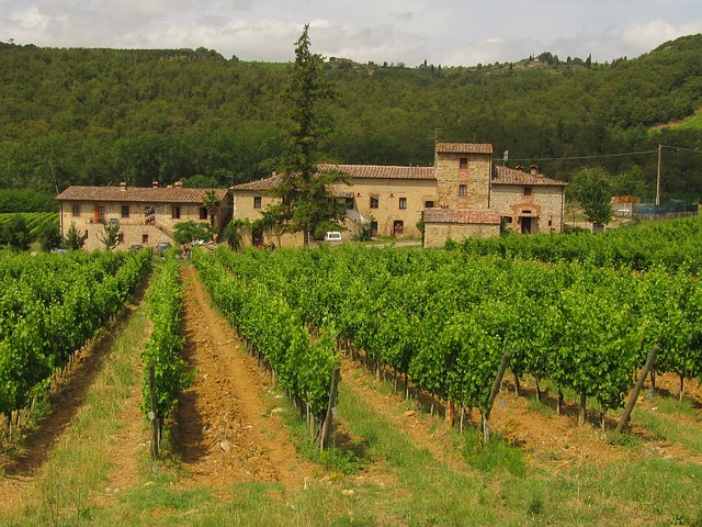 Catamos Roda Reserva 2012, Rioja