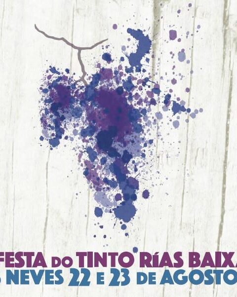 X Festa do Viño Tinto Rías Baixas 1