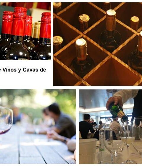 Comienza la 35º Muestra de Vinos y Cavas de Cataluña 1