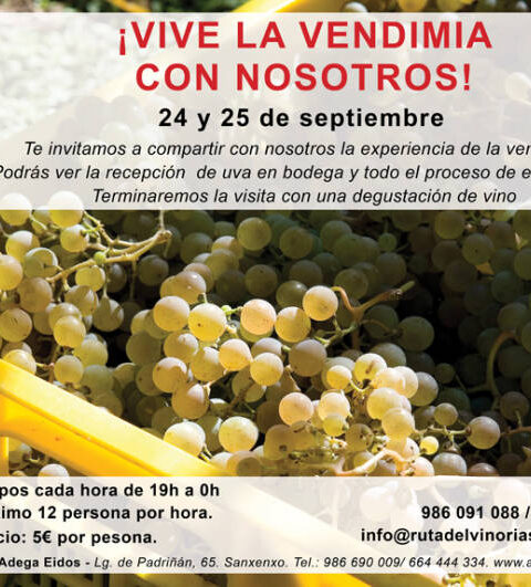 La Ruta do Viño Rías Baixas y Adega Eidos ofrecen este jueves y viernes visitas guiadas en pleno proceso de vendimia 1