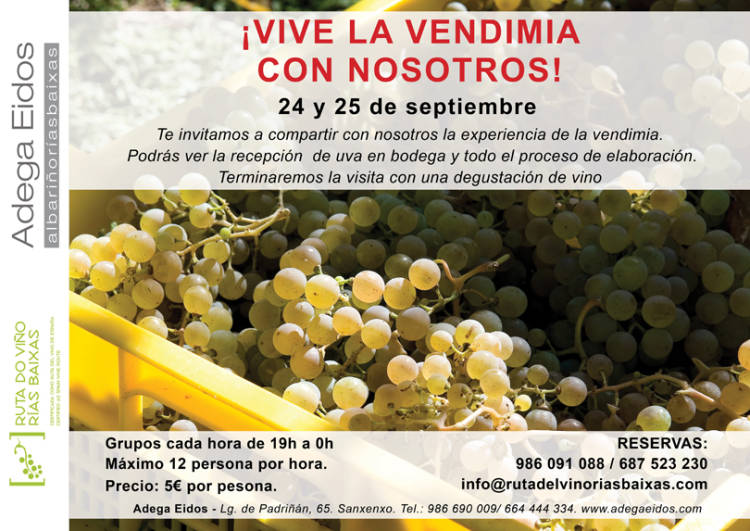 La Ruta do Viño Rías Baixas y Adega Eidos ofrecen este jueves y viernes visitas guiadas en pleno proceso de vendimia 1