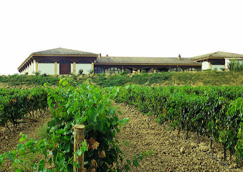 Reconocimiento internacional a los vinos Reservas de Bodegas Ondarre 1