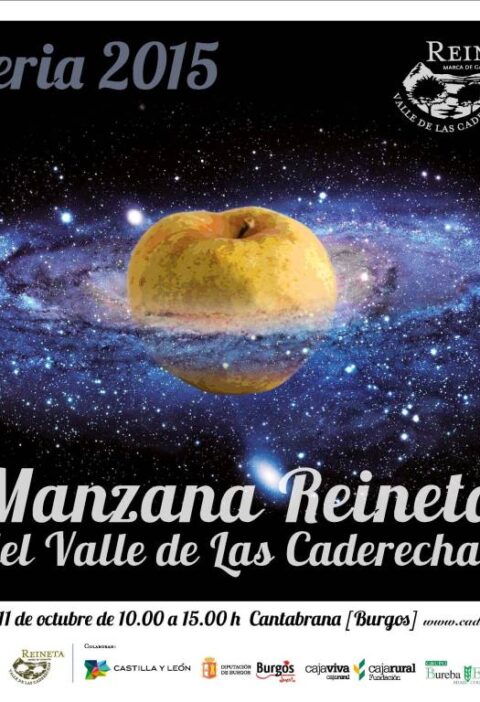 Cantabrana celebra la V Feria de la Manzana Reineta del Valle de Las Caderechas 1